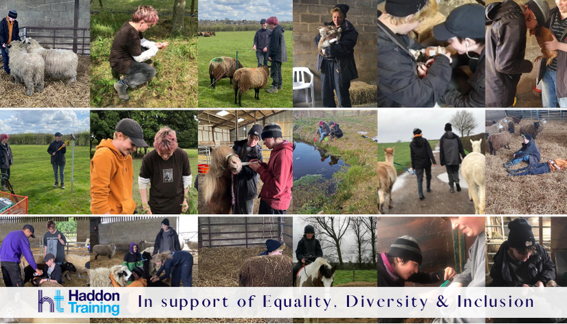 Celebrating equality, diversity and inclusion
