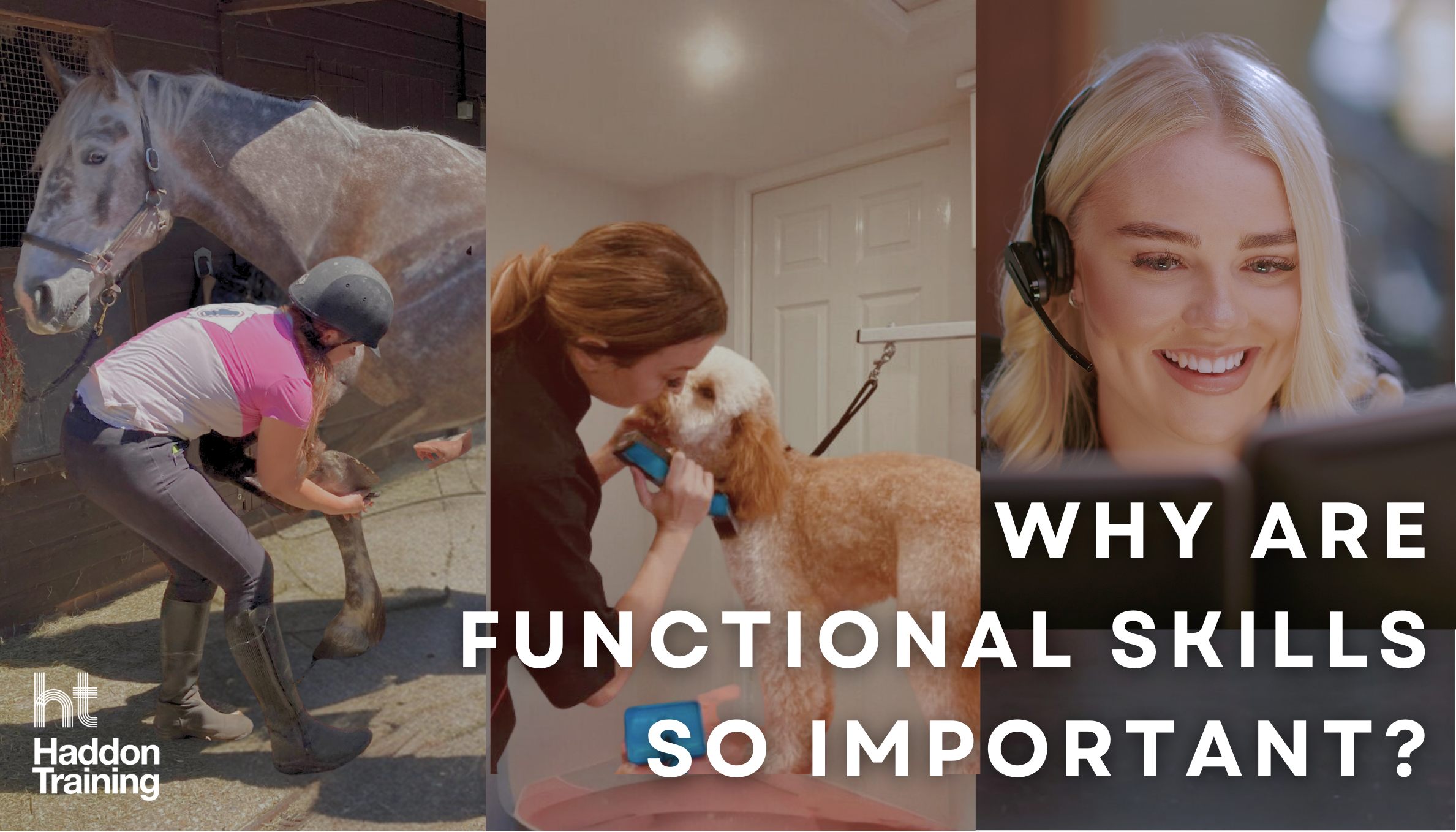 Why are functional skills so important?