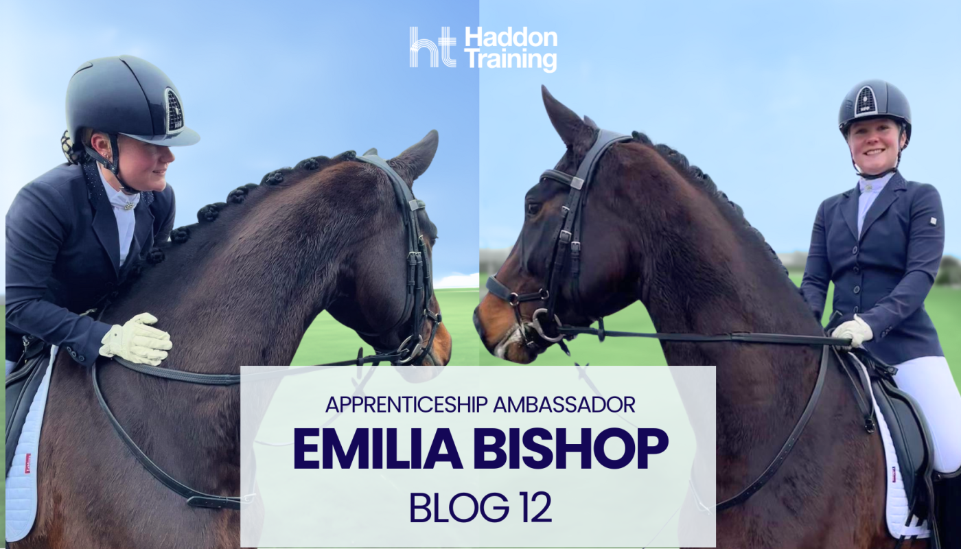 Emilia Bishop's blog 12